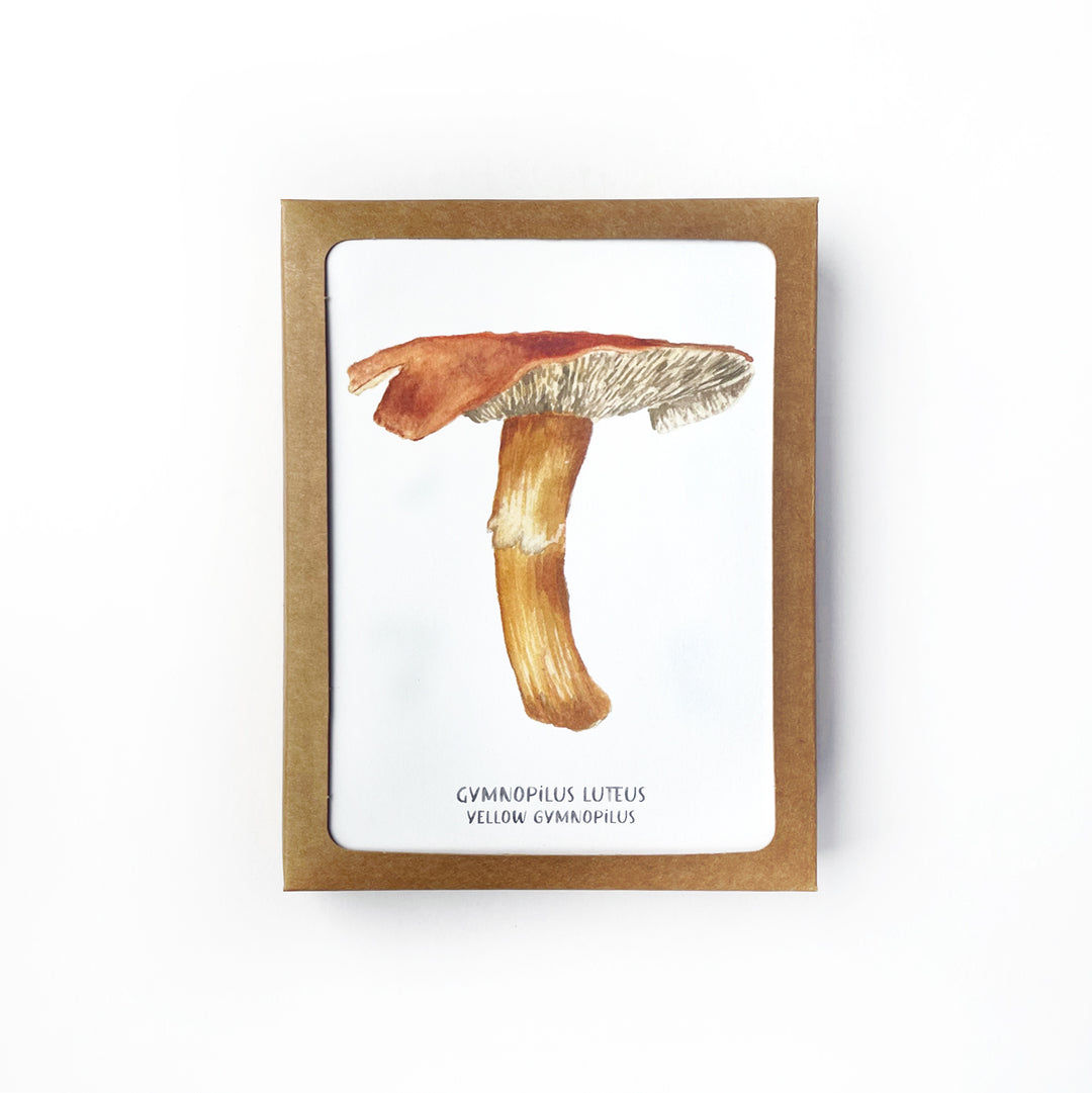 Magic Mushroom Box Set – Lucky Bat Paper Co.
