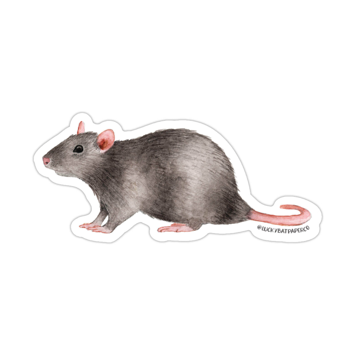 Rat Sticker – Lucky Bat Paper Co.