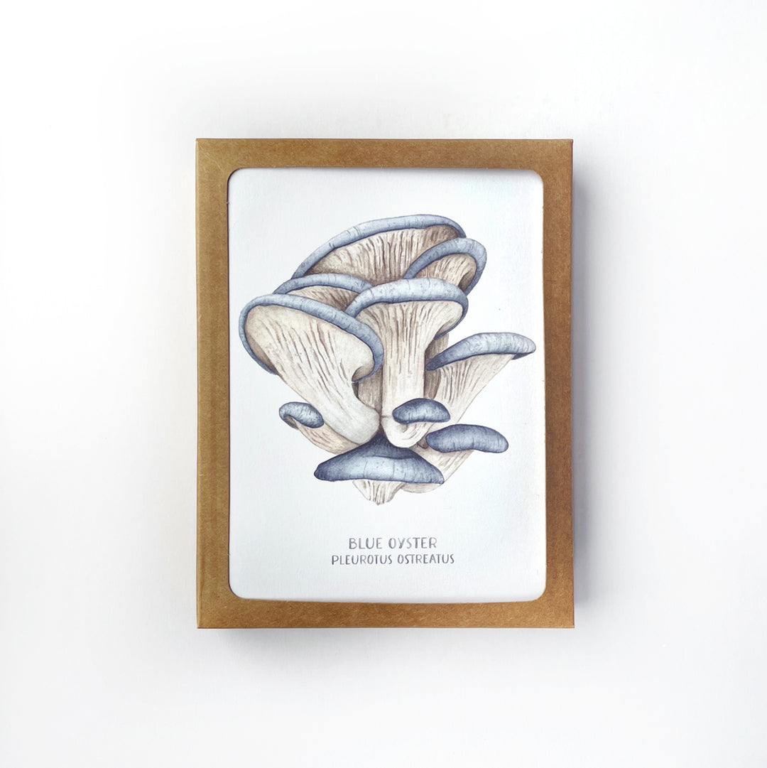 wildmushroomboxsetFRONT_1080x.